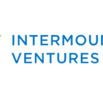 investor_iv